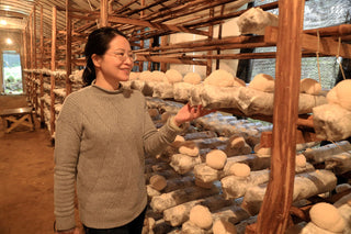Organic Lion's Mane Dual Extract Mushroom Powder
