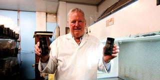 Mushroom Powders for Reduced Physical Endurance: How Medicinal Mushrooms Can Help