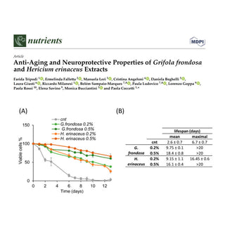 Anti-Aging and Neuroprotective Effects of Maitake and Lion's mane Extracts