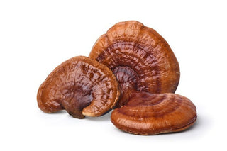 Pharmacological Effects of Ganoderma lucidum in Neurodegenerative Diseases (I) — Prevention and Treatment of Alzheimer’s Disease