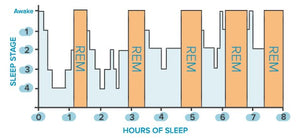 The Benefits of Lion’s Mane Mushroom for Sleep