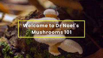 Welcome to Dr Noel's Mushrooms 101