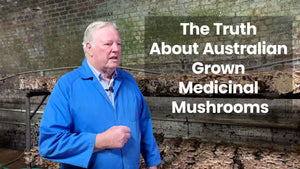 The Truth About Australian Grown Medicinal Mushrooms