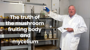 Why mushroom fruiting body is better than mycelium