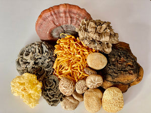 Organic wild grown medicinal mushroom, Lion's mane Mushroom Powder, Reishi Mushroom, Cordyceps Mushrooms