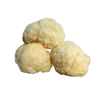 Organic Lion's Mane Mushroom